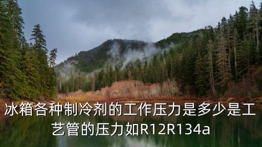 冰箱各种制冷剂的工作压力是多少是工艺管的压力如R12R134a