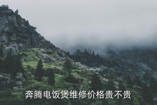 奔腾电饭煲维修价格贵不贵