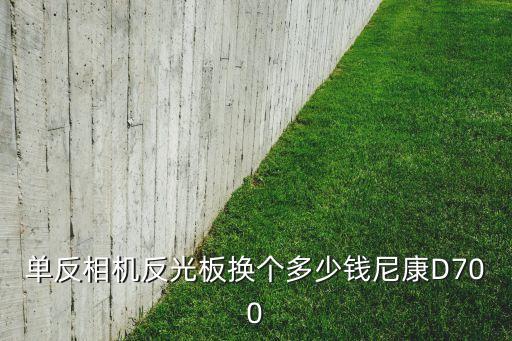 单反相机反光板掉了维修要多少钱，单反相机反光板换个多少钱尼康D700