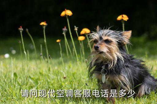 请问现代空调客服电话是多少