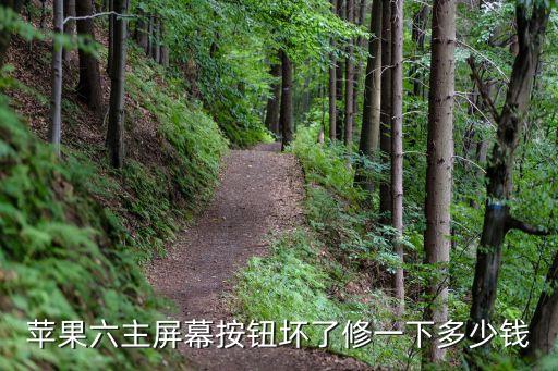 苹果六主屏幕按钮坏了修一下多少钱