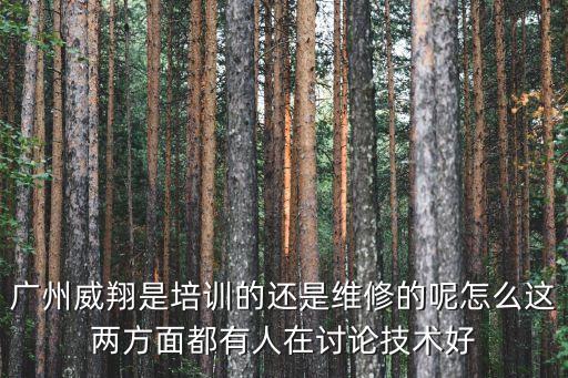 广州威翔是培训的还是维修的呢怎么这两方面都有人在讨论技术好