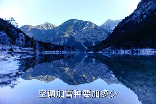 空调加雪种要加多少