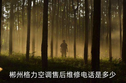 格力空调郴州维修电话是多少钱一个月，郴州格力空调售后维修电话是多少