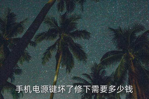 手机电源键坏了修下需要多少钱