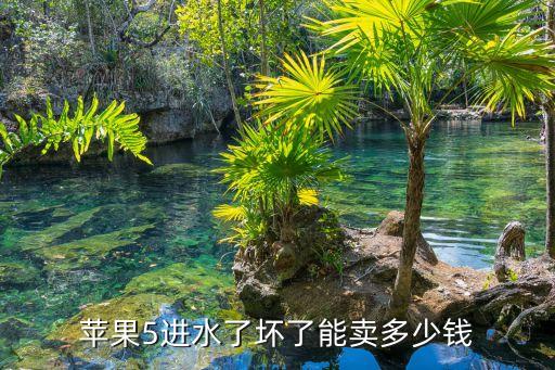 苹果5进水了坏了能卖多少钱