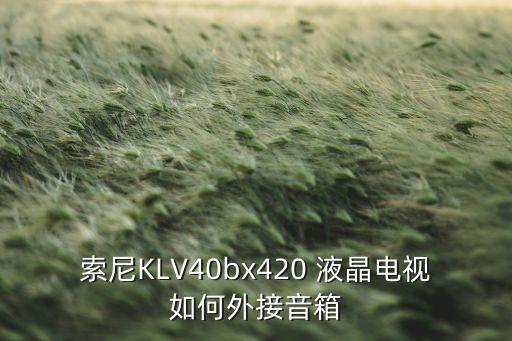 索尼KLV40bx420 液晶电视如何外接音箱