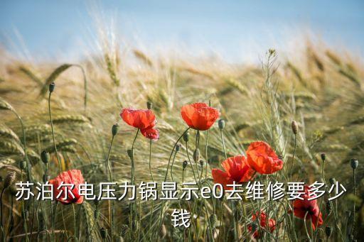 苏泊尔e0修一下多少钱，苏泊尔电压力锅显示E0后来显示屏失灵如何维修得花多少钱