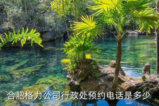 合肥格力电话多少钱，合肥格力公司行政处预约电话是多少