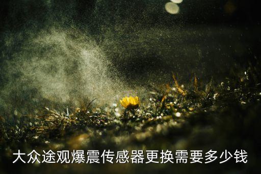 大众途观爆震传感器更换需要多少钱