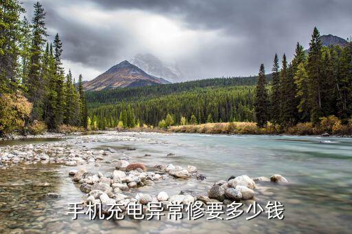 手机充电异常修要多少钱