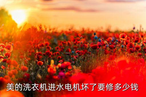 美的洗衣机进水电机坏了要修多少钱