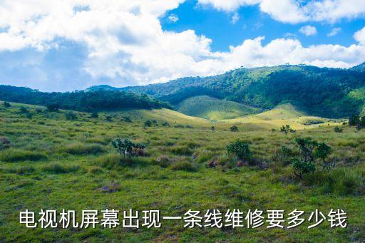 电视机屏幕出现一条线维修要多少钱