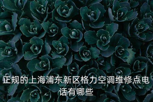 正规的上海浦东新区格力空调维修点电话有哪些