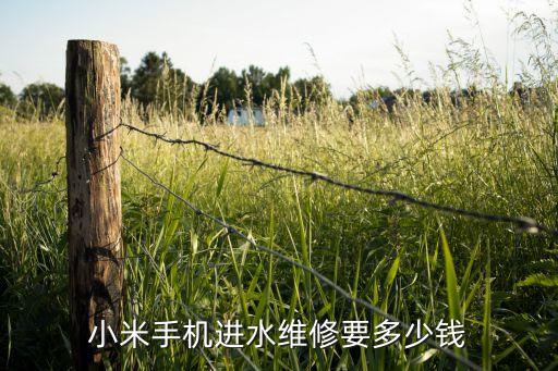 小米8se进水一般修要多少钱，三包内小米手机进水维修要费用吗