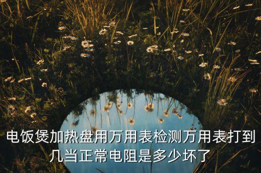 电饭锅发热盘阻值多少，电饭锅加热盘对地阻值是多少