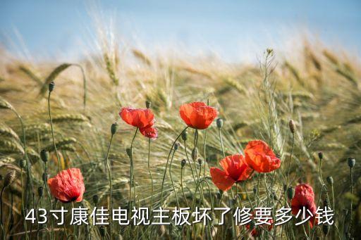 43寸康佳电视主板坏了修要多少钱