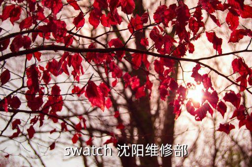 swatch 沈阳维修部