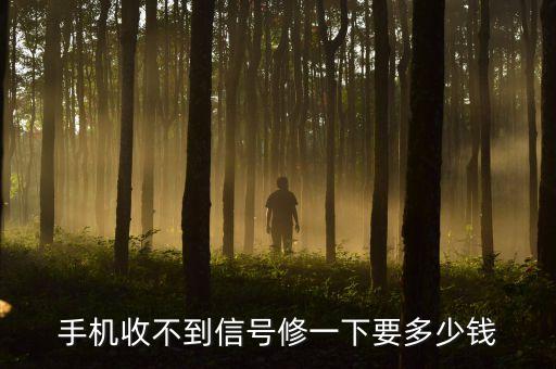 手机收不到信号修一下要多少钱
