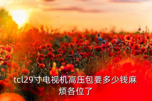 tcl29寸电视机高压包要多少钱麻烦各位了