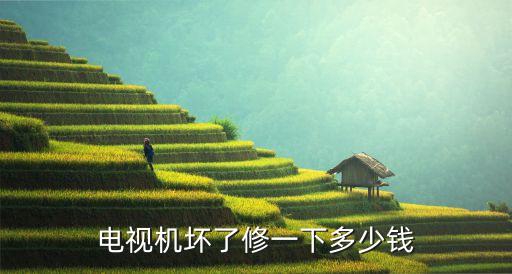 电视机坏了修一下多少钱