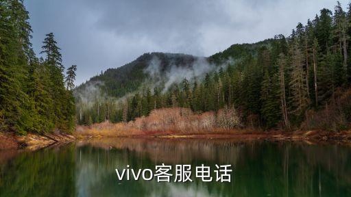 vivo客服电话