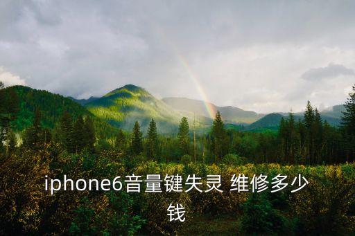iphone6音量键失灵 维修多少钱