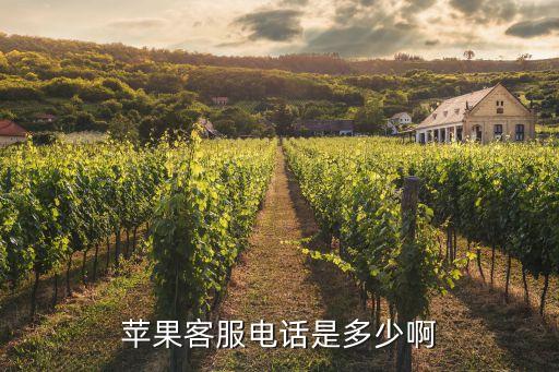 苹果手机售后电话多少，苹果客服电话是不是4006668800