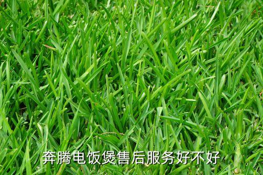 奔腾电饭煲保修多久，奔腾电磁炉保修期多长