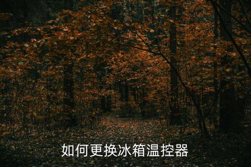 海信冰箱bcd195u温控器如何拆下，海信冰箱温控器罩子怎么拆卸