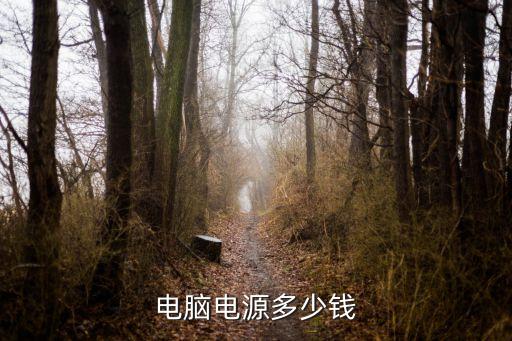 电脑电源没电压多少钱，联想电脑的电源器大约多少钱