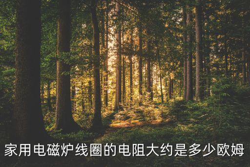 电池炉线圈多少欧母，家用电磁炉线圈的电阻大约是多少欧姆