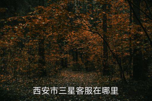西安市三星客服在哪里
