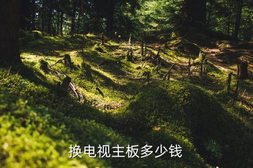 换电视主板多少钱