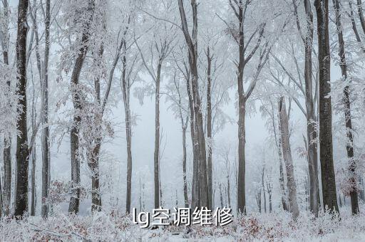 株洲lg空调维修电话是多少，lg空调维修