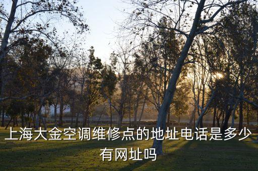 上海大金空调维修点的地址电话是多少有网址吗