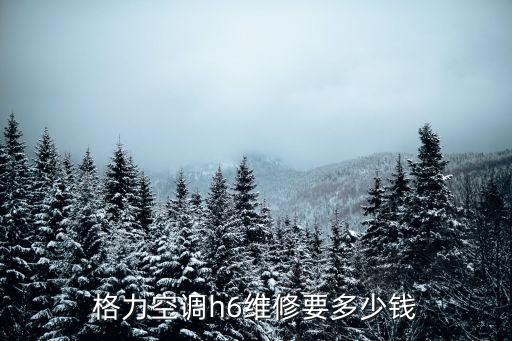 格力空调h6维修要多少钱