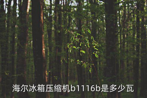 1116压缩机是多少瓦，NB1116Y压缩机多少瓦