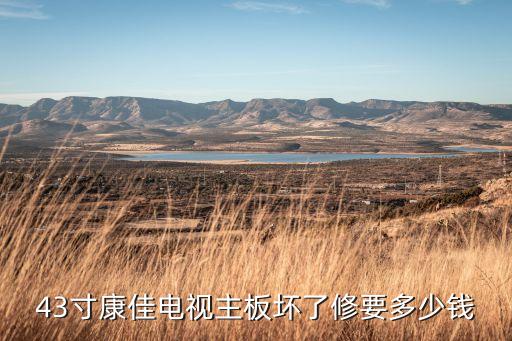 43寸康佳电视主板坏了修要多少钱