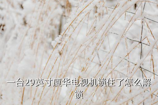一台29英寸厦华电视机锁住了怎么解锁