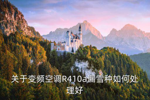 关于变频空调R410a漏雪种如何处理好