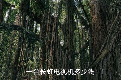 一台长虹电视机多少钱