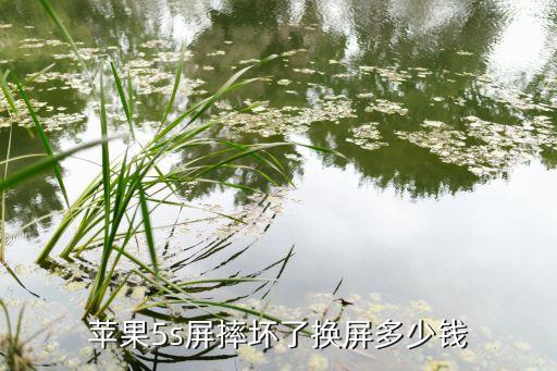 苹果屏幕换个多少钱2015，苹果5s屏摔坏了换屏多少钱