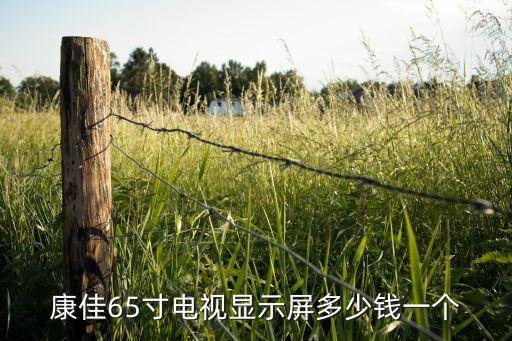 康佳65寸电视显示屏多少钱一个