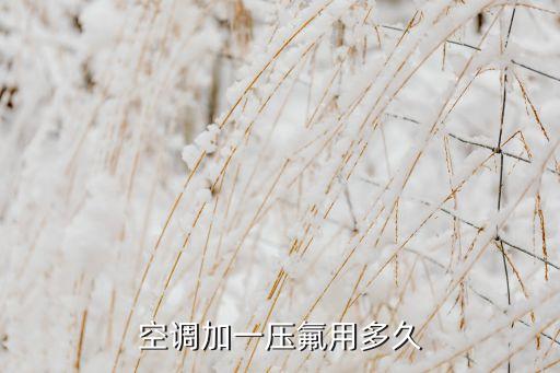 空调加一压氟用多久
