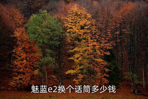 魅蓝e2换个话筒多少钱