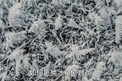 如何更换冰箱密封条
