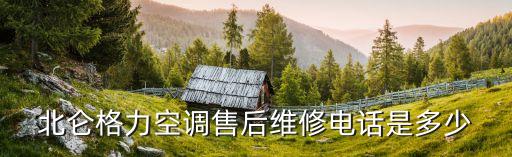 北仑格力空调售后维修电话是多少