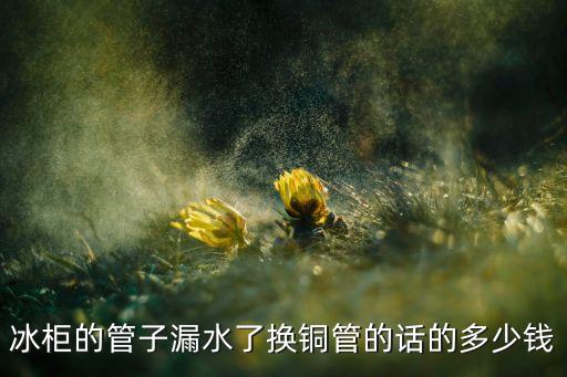 冰柜的管子漏水了换铜管的话的多少钱