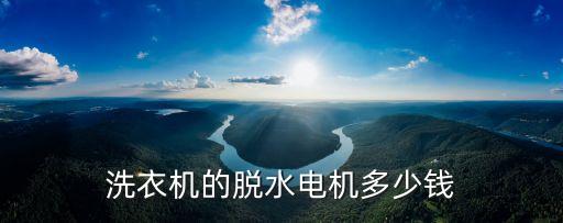 洗衣机脱水电机多少钱，换个洗衣机甩干电机得多少钱